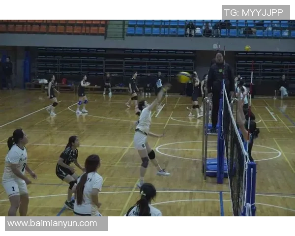 武汉排球队的意识提升与团队凝聚力探讨聚焦排球运动发展