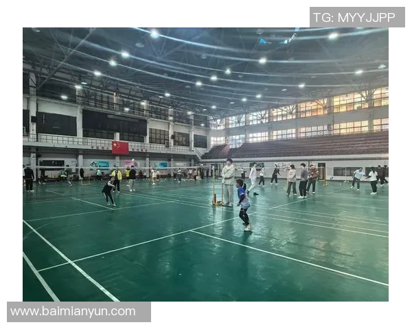 武汉羽毛球队反击之路：成败得失与未来展望