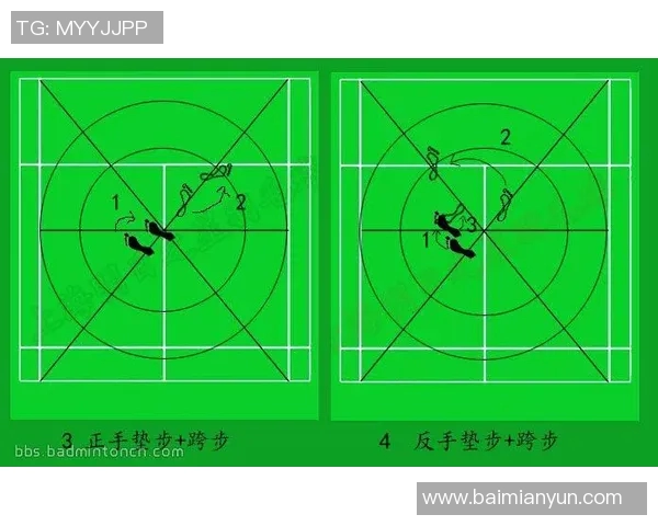 深圳羽毛球队在锦标赛中的速度表现分析与战术探讨